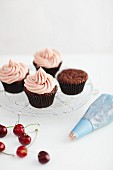 Chocolate cupcakes with cherry icing