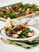 Grünkohlsalat vom Backblech mit Radieschen, grünen Bohnen, roten Zwiebeln, Pilzen und Ziegenkäse-Toast