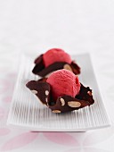 Chocolate Baskets with Raspberry Sorbet (Low Fat)