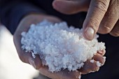 A salt worker holding a handful of fleur de sel from the Camargue region of France