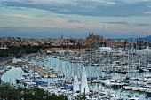 View of the harbour and the cathedral of Palma in Mallorca, Spain