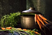 Fresh carrots in a cooking pot