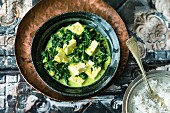 Vegetarian paneer with spinach and turmeric (India)