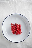 Redcurrants in an enamel bowl