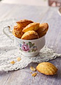 A vintage tea cup full of madeleines on a lace doily