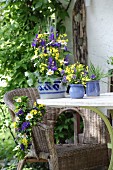Blau-Gelbe Bauernblumendeko auf dem Gartentisch und Korbstuhl