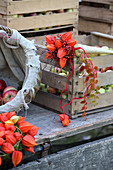 Strauß aus Hagebutten und Lampionblüten auf einer Apfelkiste