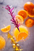 Apricot sour cocktails with orange juice