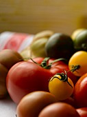 Various types of tomatoes