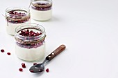 Panna cotta with pomegranate seeds