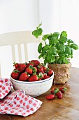 Fresh strawberries in a bowl with basil on a wooden table