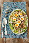 Salad with tuna, egg, cucumber and red radishes for Easter