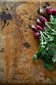 Radishes on a metal background