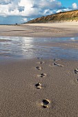 Fußspuren im Sand am Strand, Sylt, Deutschland