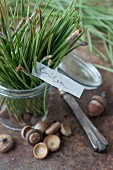 Pine needles in a preserving jar with acorns and a little nameplate