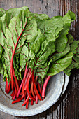 Red-stemmed chard in a tin bowl