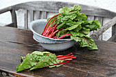 Red-stemmed chard in a tin bowl on a wooden table