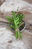 A small bundle of fresh rocket on a tea strainer