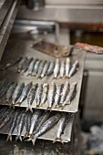 Grilled sardines in a tapas bar in Madrid, Spain