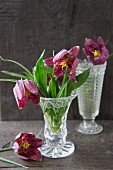 Snake's head fritillaries in vintage-style glass vases