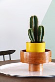 Cactus in yellow pot and wooden bowl on round tray