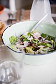 Gemischter Salat mit Radieschen und geriebenem Käse