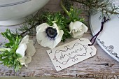 Hand-written tag next to anemones and larch twigs