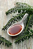 Spruce tip syrup on a spoon