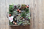 Easter flower arrangement in vintage bottle crate