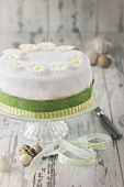Easter cake with white icing flowers