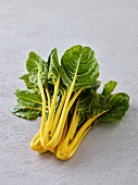 Fresh, yellow-stemmed chard on a grey background