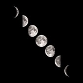 Phases of the Moon