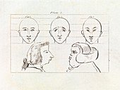 Drawing faces, 19th century