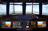 Aircraft flight simulator