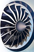 Aircraft engine fan