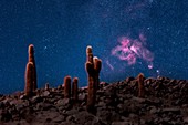Carina Nebula over Atacama Desert, Chile