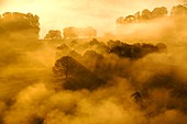 Valley mist over Lake Windermere, UK