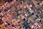 Centre pivot irrigation, USA, ISS image