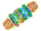 Proteasome, molecular model