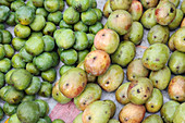 Mangoes in market