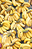 Bananas in market