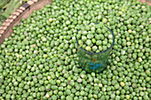 Fresh peas in market