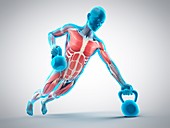 Person lifting kettle bell, illustration