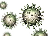 Chickenpox virus particles, illustration