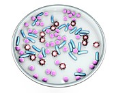 Petri dish with microbes, illustration