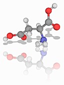 Aspartic organic compound molecule