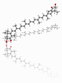 Astaxanthin organic compound molecule