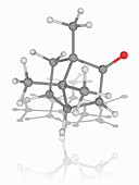 Camphor organic compound molecule