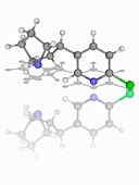 Epibatidine poison molecule