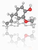 Eugenol organic compound molecule